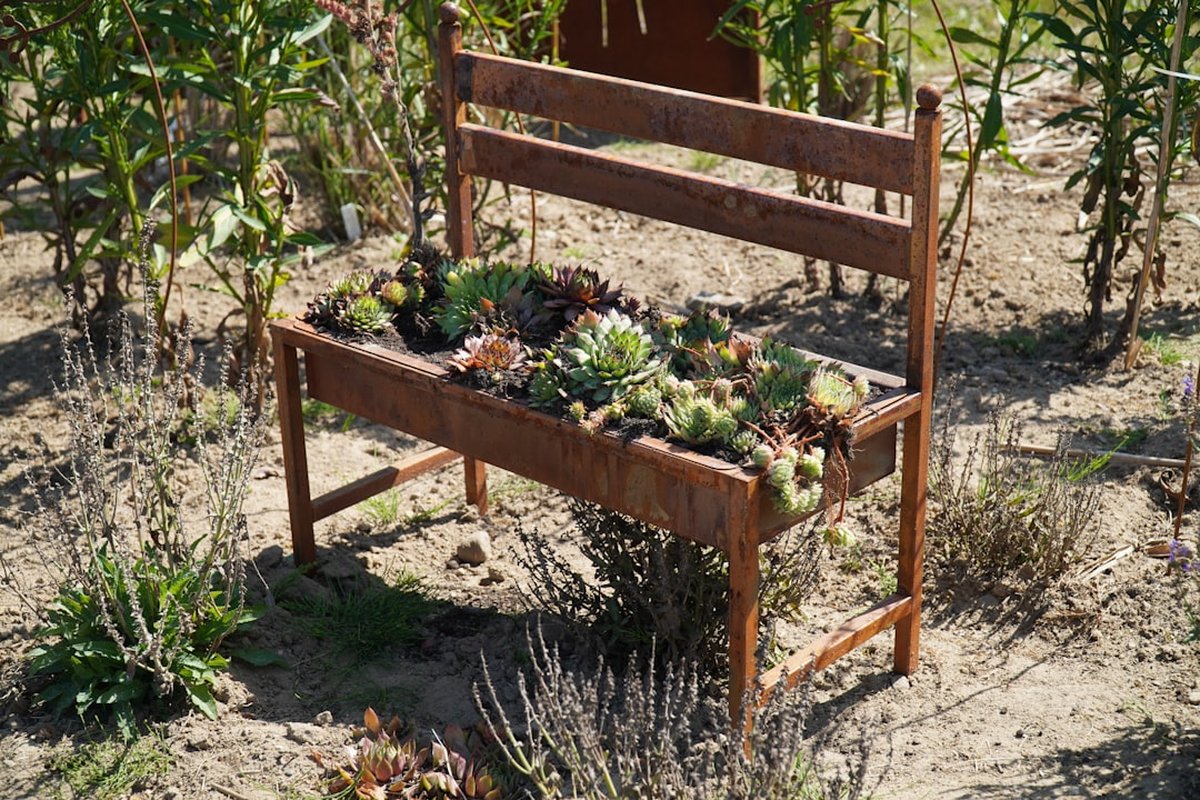 Raised Bed Gardening for Beginners