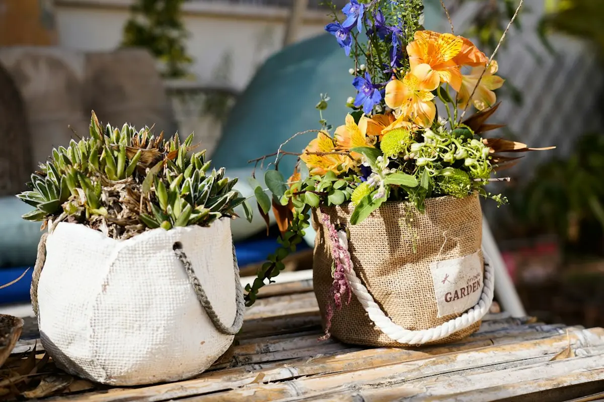 Container Vegetable Gardening for Beginners