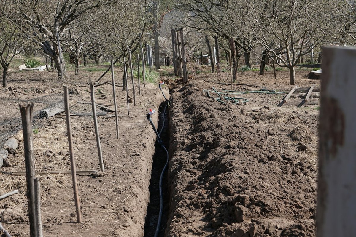 How to Plant Fall Cover Crops When Half the Country Is in Drought