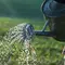 How Often to Water Container Vegetables