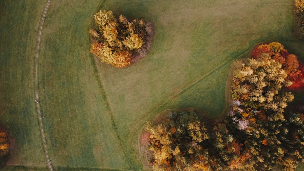 7 Garden-Fresh Zucchini Summer Recipes