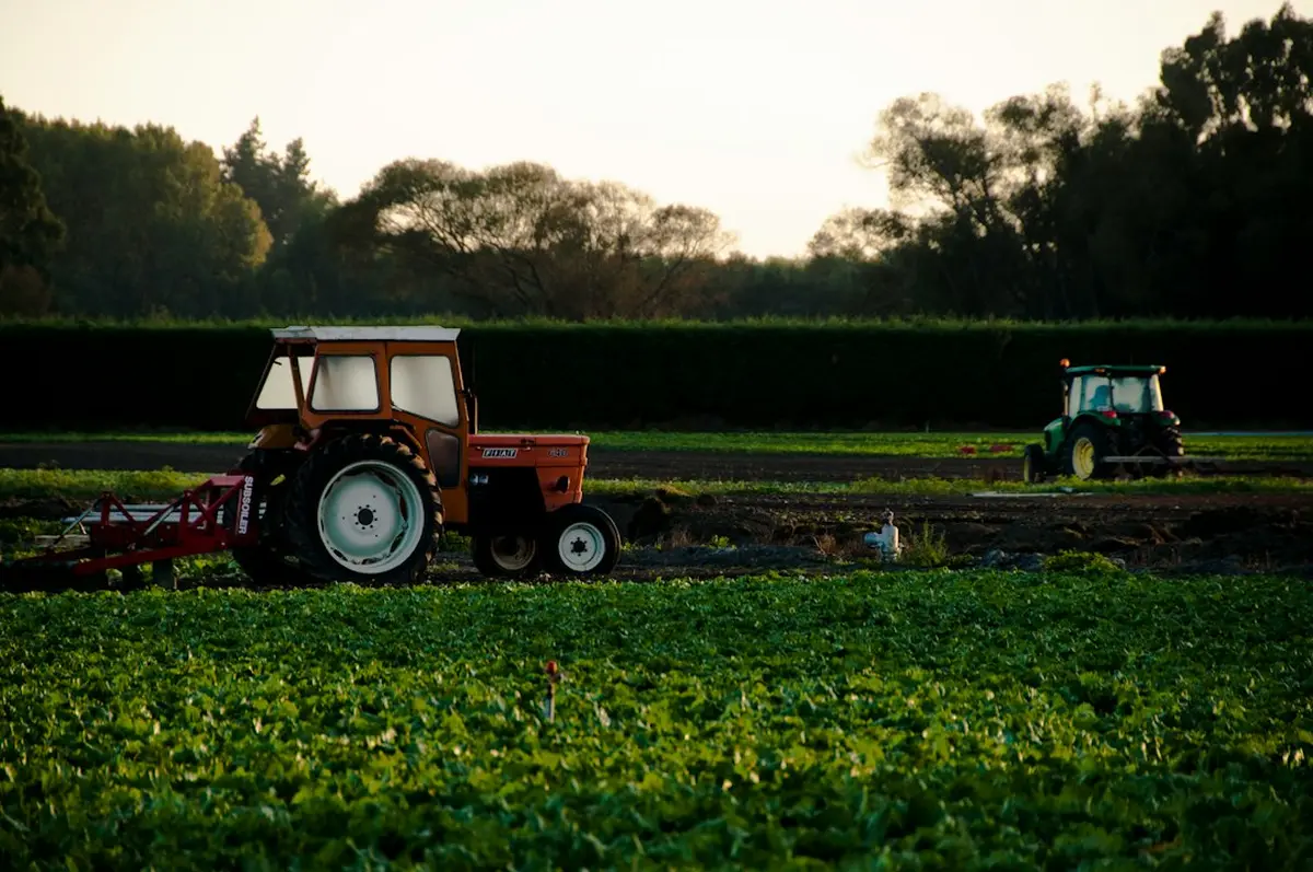The History of Farmer's Delight Plantation in Loudoun County Virginia