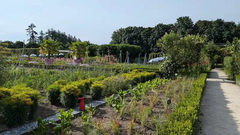 Companion Planting Secrets Soil Microbiome Decoded