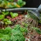 How to Fertilize Container Vegetables