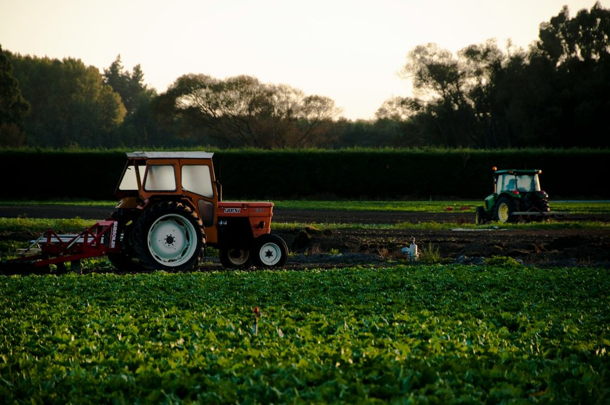 The History of Farmer's Delight Plantation in Loudoun County Virginia