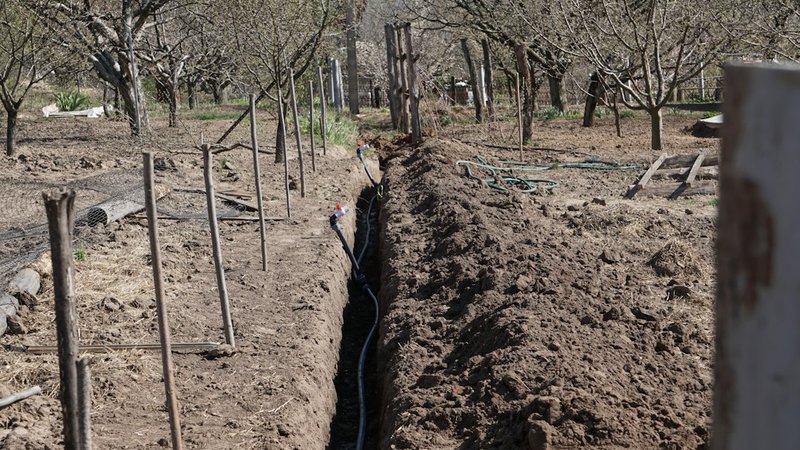 How to Plant Fall Cover Crops When Half the Country Is in Drought